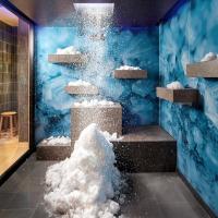 devine – snowmotion® - hotel erbprinz – ettlingen - © Hotel-Restaurant Erbprinz
